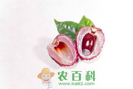 荔枝核多少钱一斤？能吃吗？功效与作用？