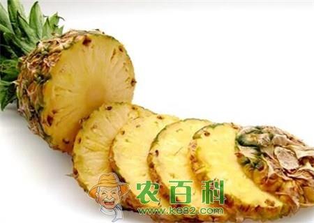 吃菠萝会上火吗?哪些人不能吃?几月成熟?