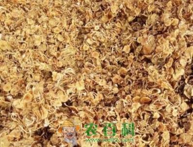 滑子菇价格多少钱一斤?怎么吃?有哪些功效及作用?