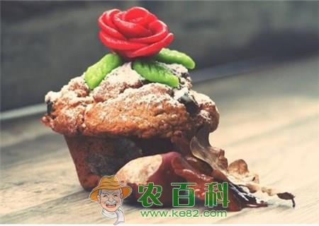 种植食用玫瑰前景如何?能赚钱吗?(附种植技术)