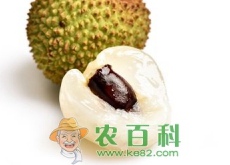 荔枝核多少钱一斤（功效与作用）