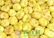“水果皇后”新疆无花果市场价格一斤能卖30元！几月份成熟上市？
