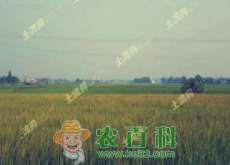 北京市生态保护红线