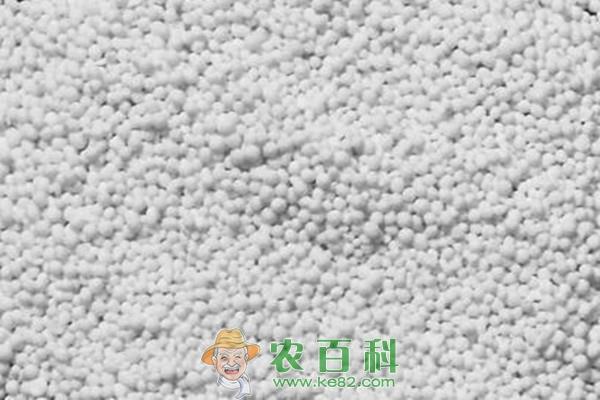锌肥对水稻有什么作用？怎样使用锌肥？有哪些注意事项？