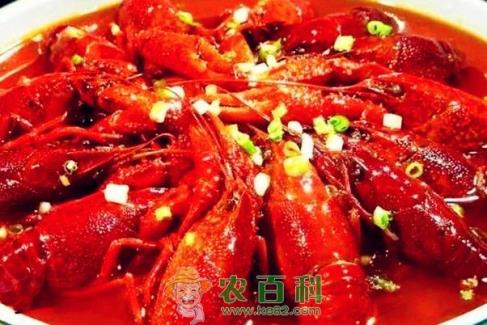 需求旺、养殖热、小龙虾才能“长”得快!