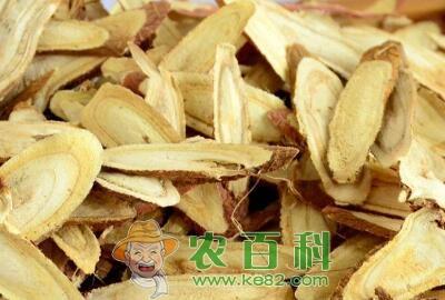 “十方九草”甘草什么时候种好？怎么种高产？