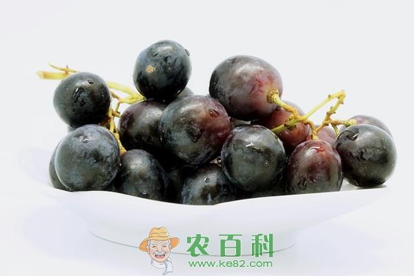 吃葡萄不吐葡萄皮的葡萄皮能吃吗？