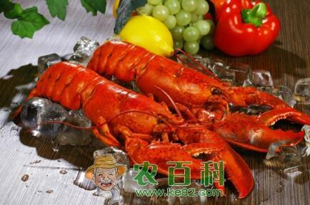 2019水产养殖补贴政策是怎样的?申报时间是什么时候?(附申请条件及流程)