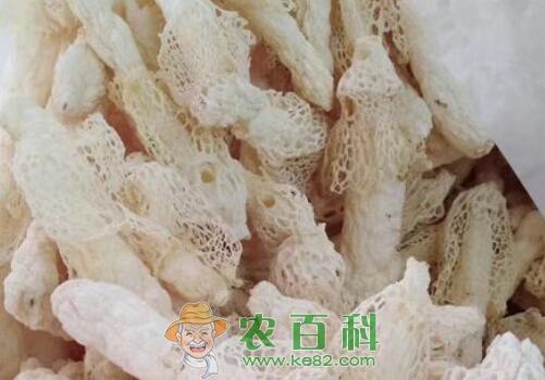 市场上的干竹荪价格多少钱一斤?怎么处理?做法有哪些?