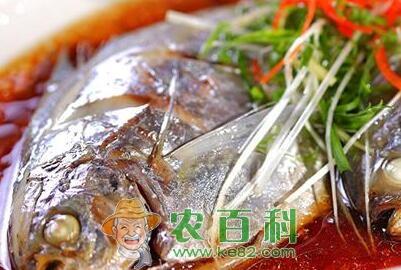 鲳鱼多少钱一斤?是海鱼还是淡水鱼?怎么做好吃?