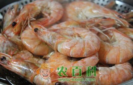 2019水产养殖补贴政策是怎样的?申报时间是什么时候?(附申请条件及流程)