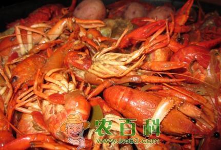 2019水产养殖补贴政策是怎样的?申报时间是什么时候?(附申请条件及流程)