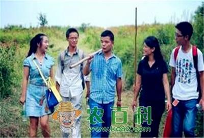 大学生打造无公害蔬菜基地——销售额达1000万