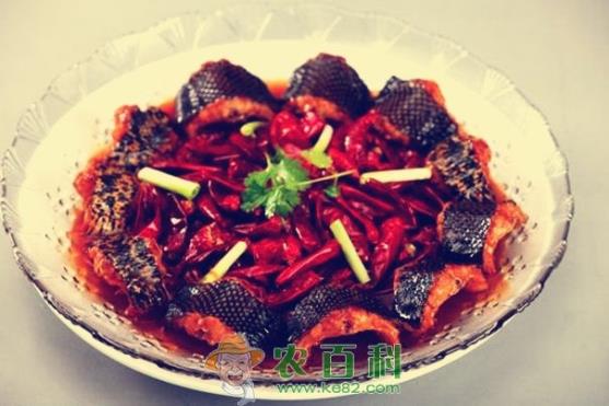 蛇肉的功效有哪些?蛇体内有寄生虫吗?怎么杀死?