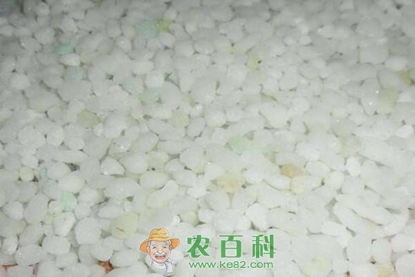 锌肥对水稻有什么作用？怎样使用锌肥？有哪些注意事项？