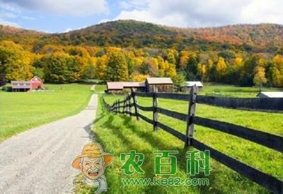 农民致富故事:种地也能发家?