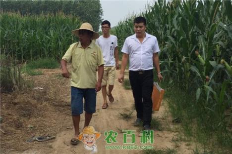 服务了两个月的客户被抢了,你会怎么办?