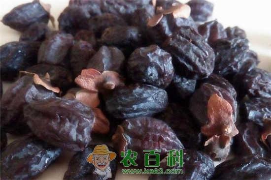 黑枣是红枣做出来的吗?什么时候上市?