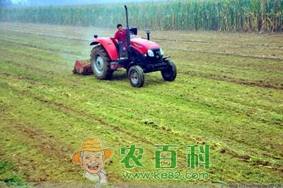 农民致富故事:种地也能发家?