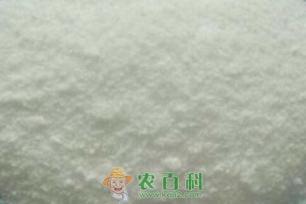 水溶肥对水稻有什么作用？有哪些使用方法？如何辨别优质水溶肥？