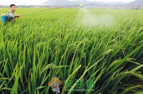 我们如何才能买到优质的农药、化肥?如果买到假的怎么办?