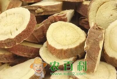 “十方九草”甘草什么时候种好？怎么种高产？