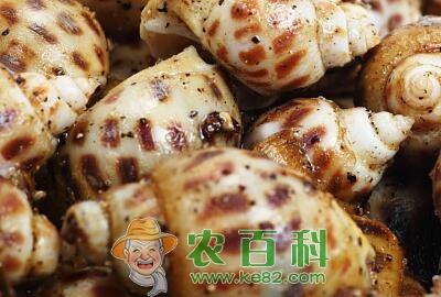 花螺多少钱一斤？死了的能吃吗？