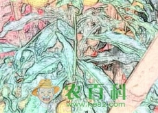 我国龙眼需肥特点以及丰产施肥技术、时间