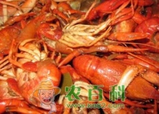 水产养殖补贴政策是怎样的(附申请条件及流程) 水产养殖补贴政策是怎样的(附申请条件及流程)