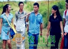 大学生打造无公害蔬菜基地——销售额达1000万 大学生打造无公害蔬菜基地——销售额达1000万