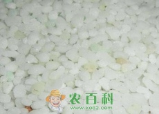 锌肥对水稻有什么作用（有哪些注意事项）