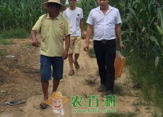 服务了两个月的客户