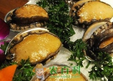 鲍鱼多少钱一斤（（附养殖方法））