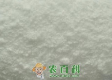 水溶肥对水稻有什么作用（如何辨别优质水溶肥）