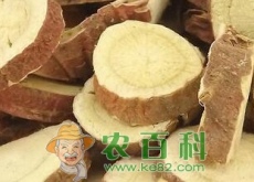 “十方九草”甘草什么时候种好？