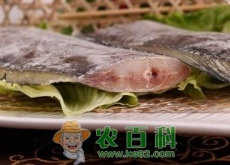 硬骨鱼纲鲈形目带鱼如何清洗干净（有什么营养价值及功效）