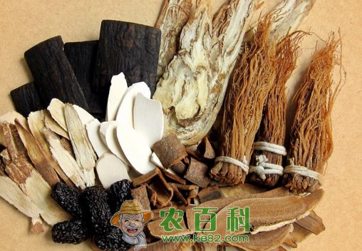 附子理中丸可治疗什么疾病？有什么副作用？服用附子理中丸需注意什么？