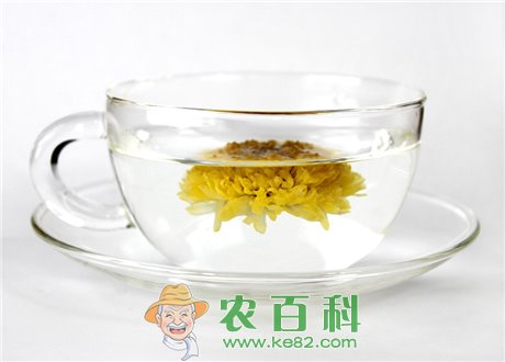 “养生茶”枸杞茶的功效与作用有哪些?能够改善睡眠吗?(附详细做法)