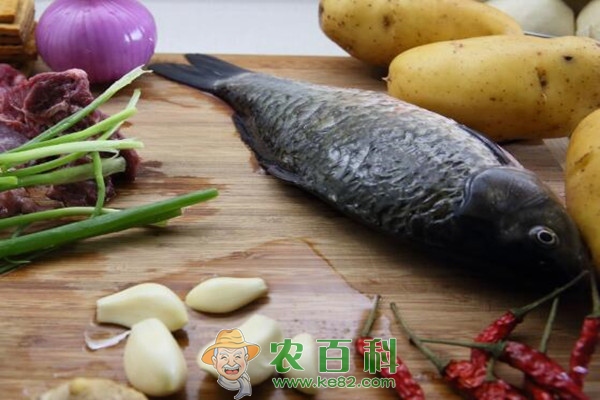 冬季淡水鱼价格遇冷？后期市场行情又会如何？