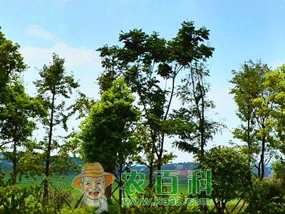 我国生态农业投资热点分析