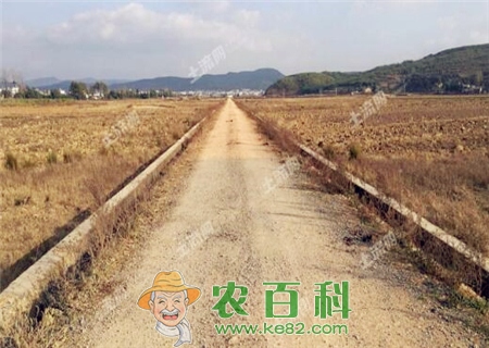 农村土地确权，确权到谁名下？都将带来哪些什么影响？