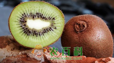 猕猴桃吃多了会怎么样？一天最多吃几个？孕妇可以吃吗？