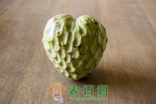 “抗瘤之星”释迦果（番荔枝）好吃吗?一天吃多少合适?怎么吃?不熟的可以吃吗?这三类人不能吃!