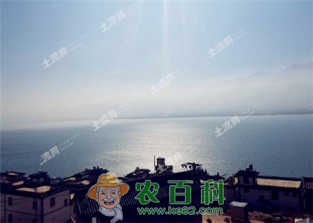土地确权结束,宅基地“限令”出台,审批将越来越难!