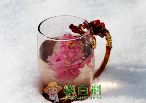 市场上玫瑰花茶价格大约多少钱一斤？哪些人不适合饮用？怎么泡好？功效作用是什么？