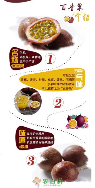 百香果籽可以吃吗？百香果的籽要嚼碎吃吗？百香果该怎么吃呢？