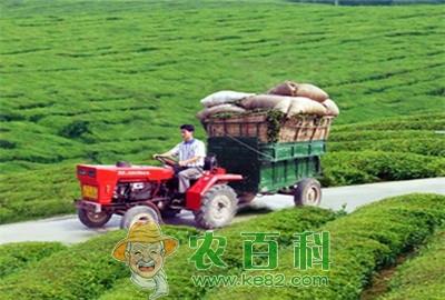 山东济宁利用电商为农民打通致富通道