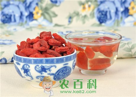 “养生茶”枸杞茶的功效与作用有哪些?能够改善睡眠吗?(附详细做法)