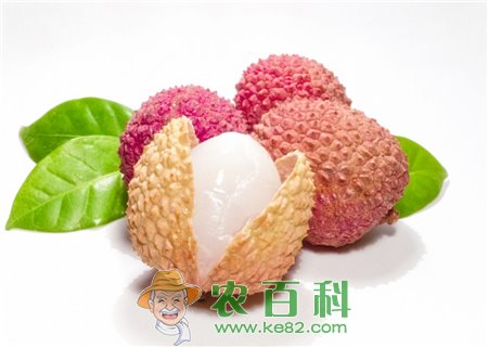 荔枝有哪些功效和作用？孕妇也可以吃吗？