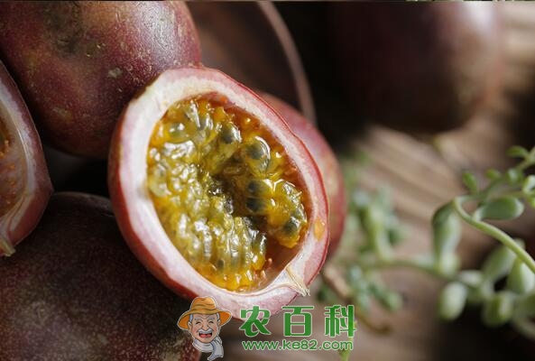 百香果籽可以吃吗？百香果的籽要嚼碎吃吗？百香果该怎么吃呢？